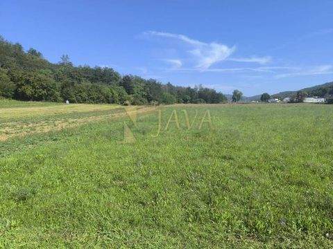 Pazin Bauernhöfe, Landwirtschaft, Pazin Forstwirtschaft