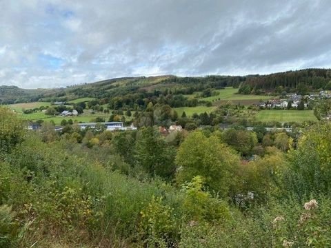 Balve Grundstücke, Balve Grundstück kaufen
