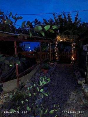 Medien 1-1D49D6AF-3834-4346-A0D6-9850B4F09A88