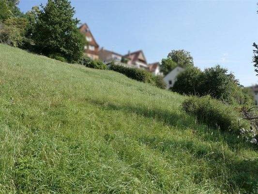 seitlicher Blick von unten