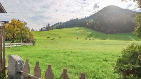 Kirchberg in Tirol Wohnungen, Kirchberg in Tirol Wohnung mieten