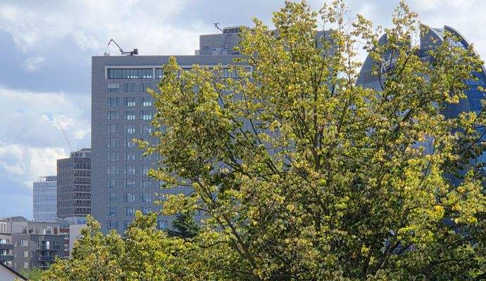 Ausblick von Balkon.jpg