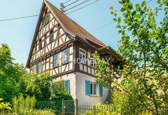 Außenansicht 1