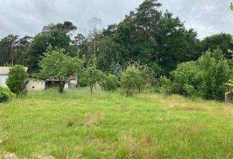 Blick ins Grundstück.jpg