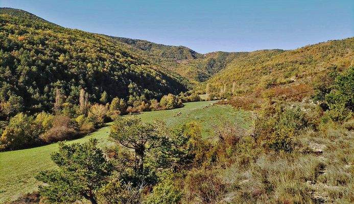 Imagen de WhatsApp 2025-06-20 a las 20.57.48_a2d33