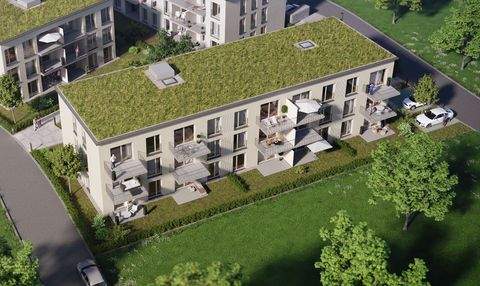 Oberriexingen Wohnungen, Oberriexingen Wohnung mieten