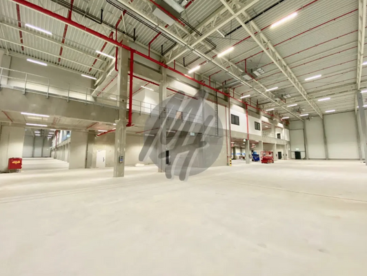 INFOS UNTER: 06171-586000