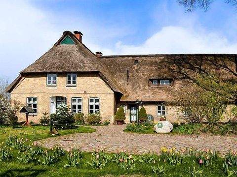 Schafstedt Häuser, Schafstedt Haus kaufen