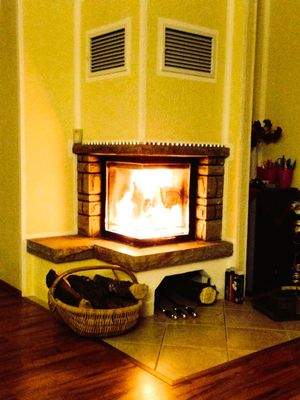 Das gemühtliche Kaminfeuer