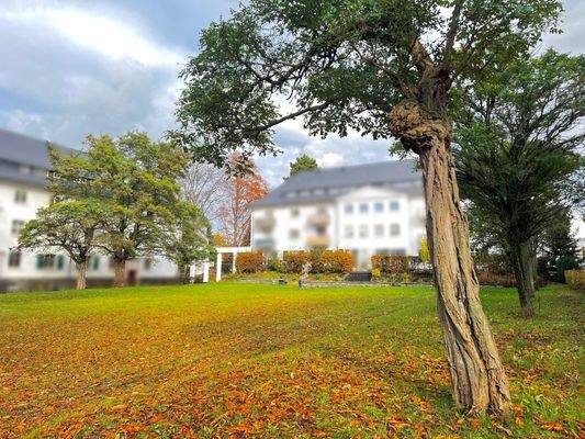 Grünfläche vor dem Haus