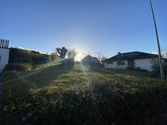 49F77086-8122-47B9-ACD5-7207E69112B5_1_102_o