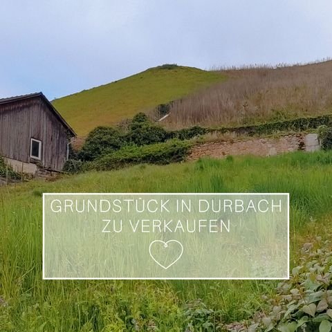 Durbach Grundstücke, Durbach Grundstück kaufen