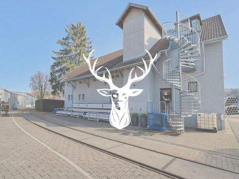 Villingen-Schwenningen Halle, Villingen-Schwenningen Hallenfläche