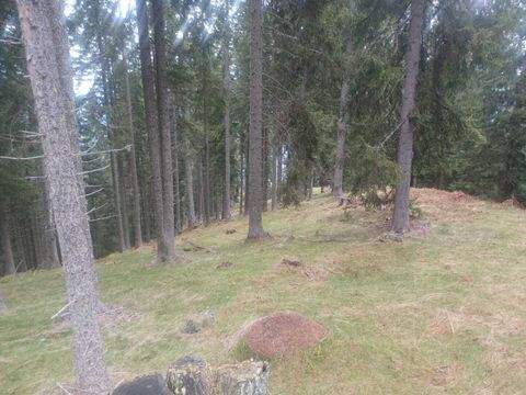 Verditz Bauernhöfe, Landwirtschaft, Verditz Forstwirtschaft