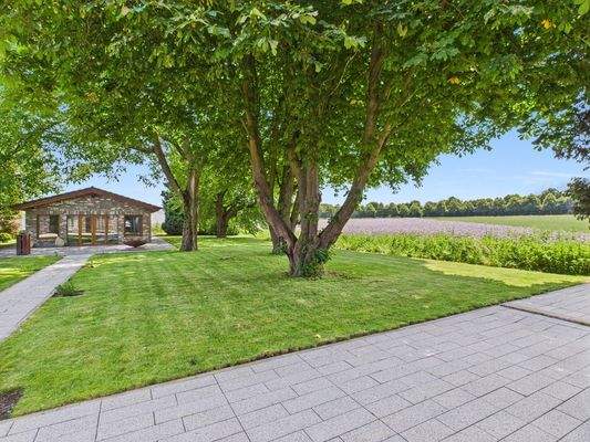 Terrasse mit Blick in den Garten