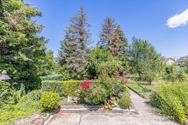 3489 Sommeridylle im Garten b