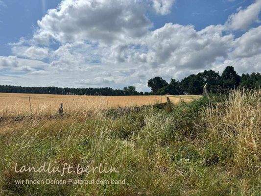 Blick auf Grundstückrand auf südlich gelegenes F