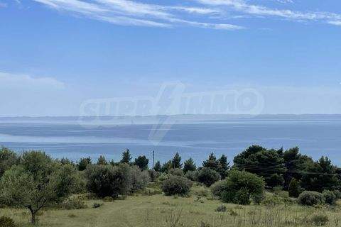 Vatopedi Bauernhöfe, Landwirtschaft, Vatopedi Forstwirtschaft