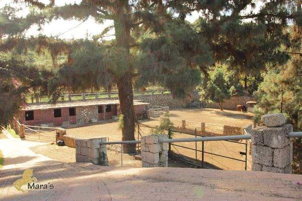 Finca, Landhaus, Teneriffa, zu verkaufen 