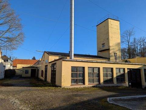 Ebrach Halle, Ebrach Hallenfläche