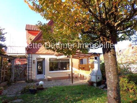 Alfeld (Leine) Häuser, Alfeld (Leine) Haus kaufen