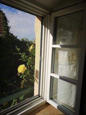 Fenster Schlafzimmer grün