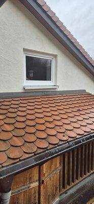 WhatsApp Image 2026-02-22 at 15.30.09 (3).jpeg