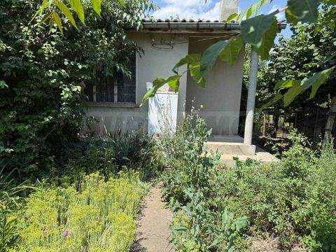 Kavarna Häuser, Kavarna Haus kaufen