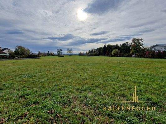 Sicht vom Bauland auf das Grünland
