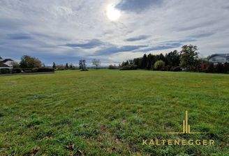 Sicht vom Bauland auf das Grünland