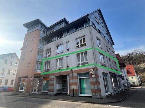 Sulz am Neckar Büros, Büroräume, Büroflächen 