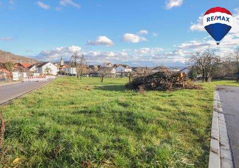 Waldshut-Tiengen Grundstücke, Waldshut-Tiengen Grundstück kaufen