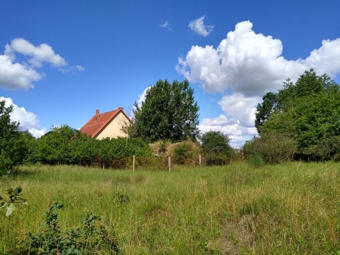 Kapitalanlage:  Großes Baugrundstück zum Verkauf in Mecklenburg-Vorpommern zum Verkauf