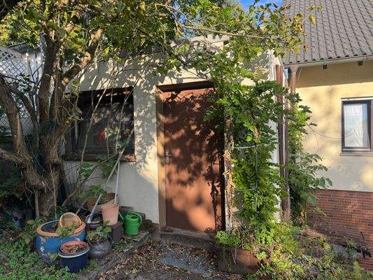 Garteneingang zur Garage