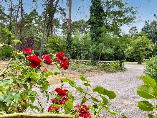 Grundstückseinfahrt