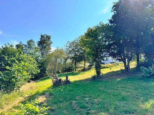 Jede Menge Platz zum Entfalten (5)