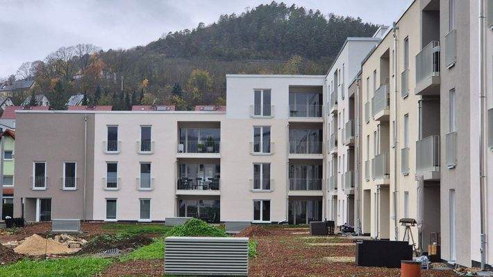 20241113_131547 (Mittel).jpg