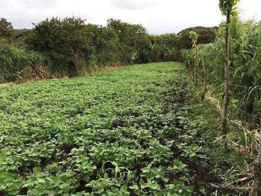 ImmoScout360 GARTEN Arenal See