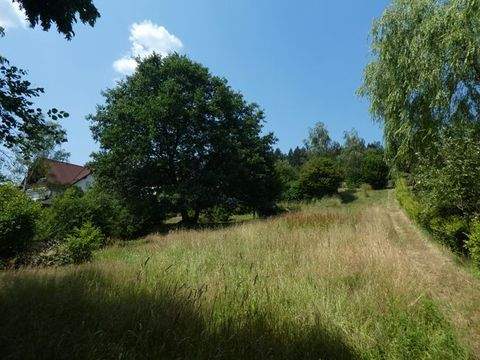 Bad Soden-Salmünster Grundstücke, Bad Soden-Salmünster Grundstück kaufen