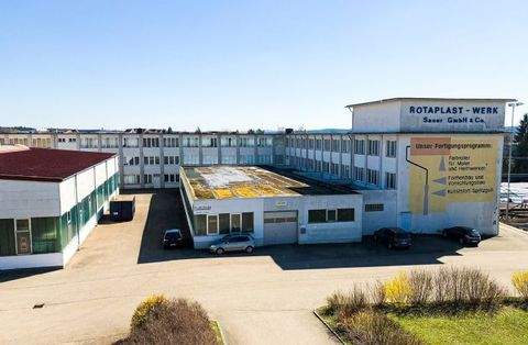 Dinkelsbühl Halle, Dinkelsbühl Hallenfläche