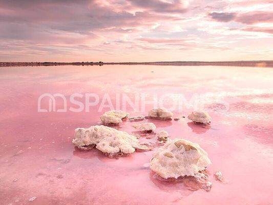 Contemporary Apartments in a Social Complex in Torrevieja