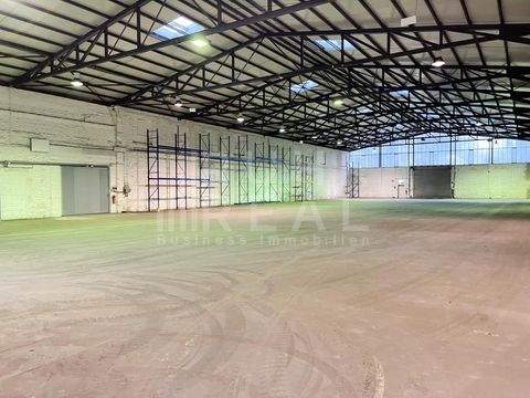 Mönchengladbach Halle, Mönchengladbach Hallenfläche