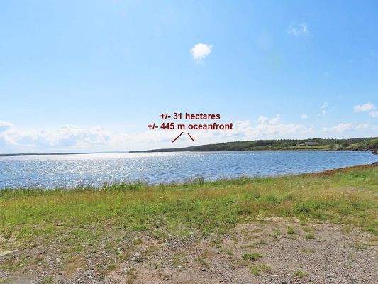 Cape Breton - Einzigartige Atlantik-Lage - 31 Hekt