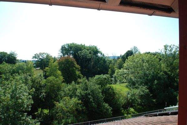 Blick vom Dachstudio ins Güne