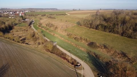 Rammingen Bauernhöfe, Landwirtschaft, Rammingen Forstwirtschaft