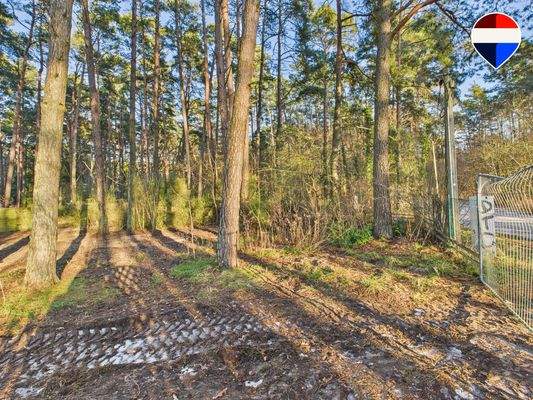 Flst 398 auf dem Grundstück rechte Zufahrtz