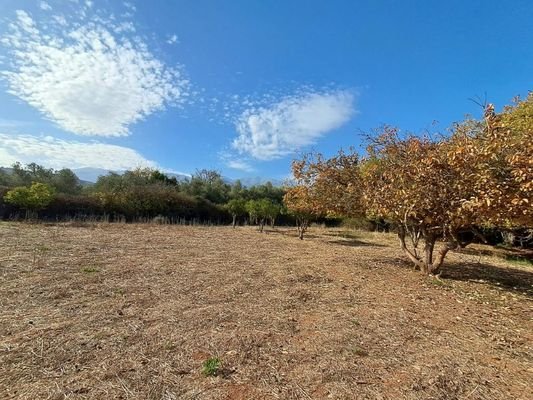 Kreta, Armeni: Erstklassiges Baugrundstück mit Bergblick, Obstgarten und Strandnähe