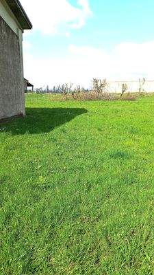 WhatsApp Image 2024-03-14 at 12.30.48.jpeg