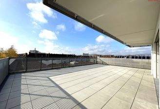 Dachterrasse Südwestseitig