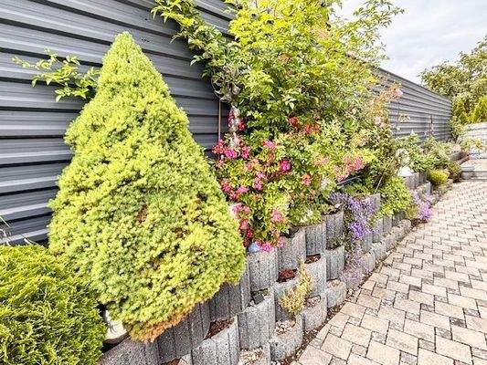 tolle Gartengestaltung